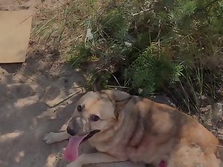 Amateur Dog porn Sarah