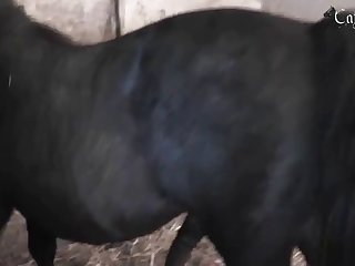 My Little Wife's Pussy Or Getting Hot From It I Gave