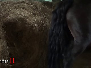 Xxxxx Hd