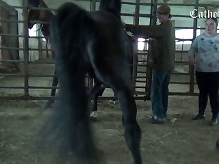 Free P X X X X X X Com