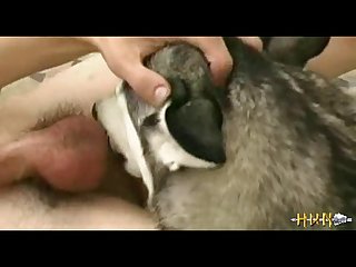 Cum Welling Up In The Tip. Gently Taking His Cock With