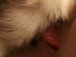 She Never Got Used To Being Licked By A Dog Mostly