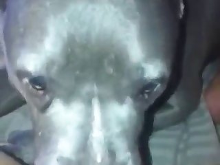 Maybe It Is Luck Or ..a Talent Given By The Lord