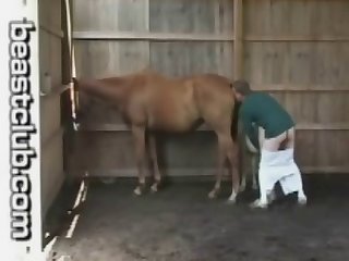 Horse Man Fucks Pony Horse