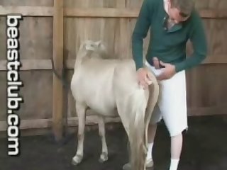 Horse Man Fucks Pony Horse