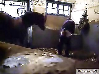 Stallion Mafuta Corr