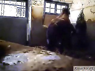 Stallion Mafuta Corr