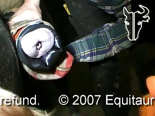 Etp Pony cum