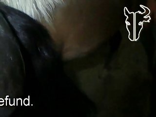 Etp Pony cum