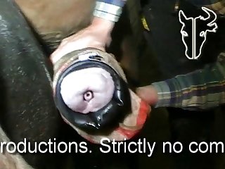 Etp Pony cum