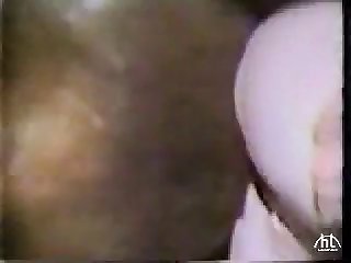 Animal Stallionsex Stallion Do Woman Movie