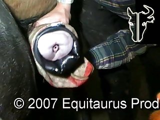 Etp Pony cum