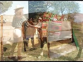 Cathys Horse