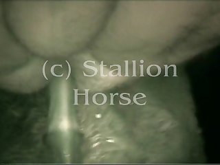 Chsh008a