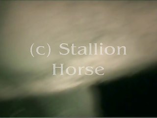 Chsh008a