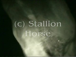 Chsh008a