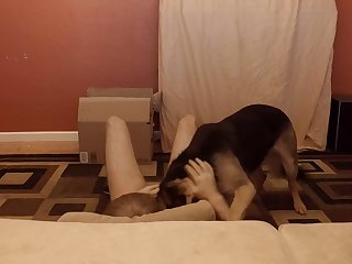 Sensitive Shepherd.mov
