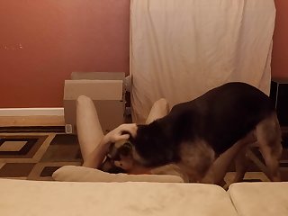 Sensitive Shepherd.mov