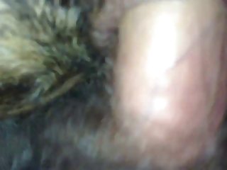 Img 2412.mov