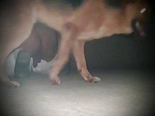 Horny Gay Man Gets Caught Trying To Have Anal Dog Sex