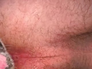 Pitbull Dog Eating Out Man Hard Licking