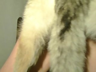 Sexo Com Animal