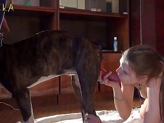 Bestiality Porn Luxuretv