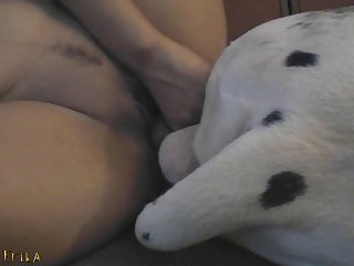 Animal Breastfeeding Porn