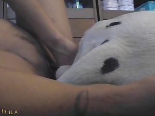 Gay Sex Animal Porn