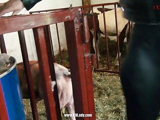 Isabella Animal Crossing Porn