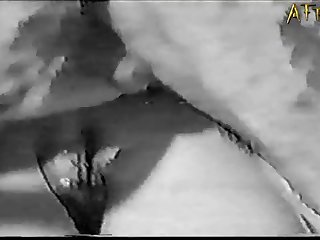 Porn Gif Animal