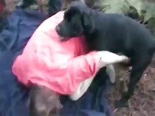 Fucking A Stuffed Animal Porn