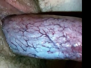Zoofilia Video Amador