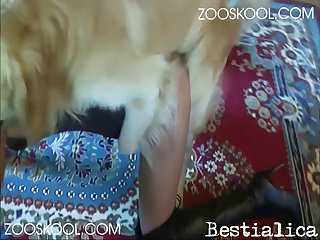 Zoofilia 2024 Videos