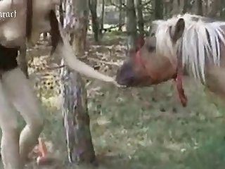 Xvideos Zoofilia 3d
