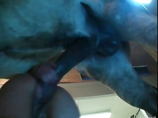 Zoofilia Com Mulher Gostosa