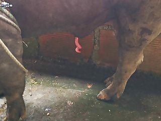 Extreme Fleshlight Porn