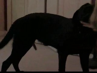 Extreme Femboy Anal Porn