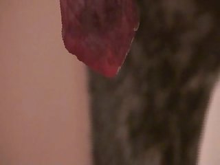 Extreme Granny Gangbang Porn