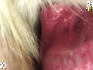 Free Animal Sex Vidz