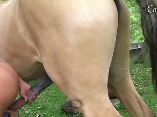 Strange Animal Sex Facts