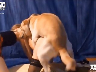 The Best Animal Sex