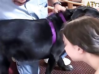 Animal With High Sex Drive