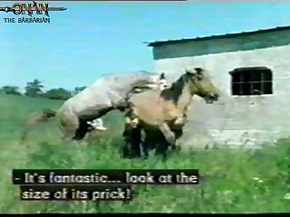 Xxx Com Animal Sex