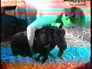 Animalwomen Sex