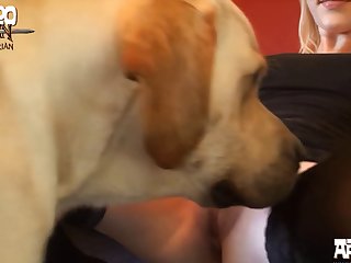 Animal Sex Videp