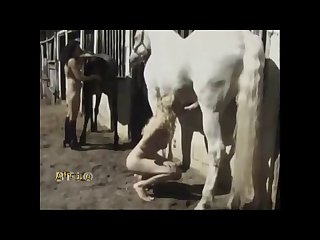 Human Animal Sex Videos