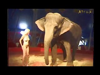 Animal Open Sex
