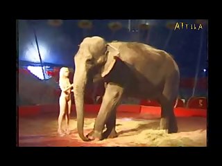 Animal Open Sex