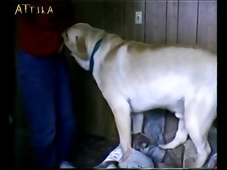 Russian Animal Sex